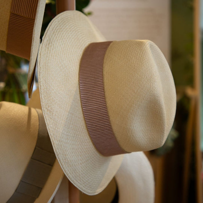 Pachacuti X Really Wild