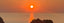 Summer Sale