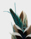 Feather Pin, Blue | Accessories | Really Wild Clothing | Detail Shot