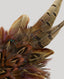 close up of feather detail on feather pin