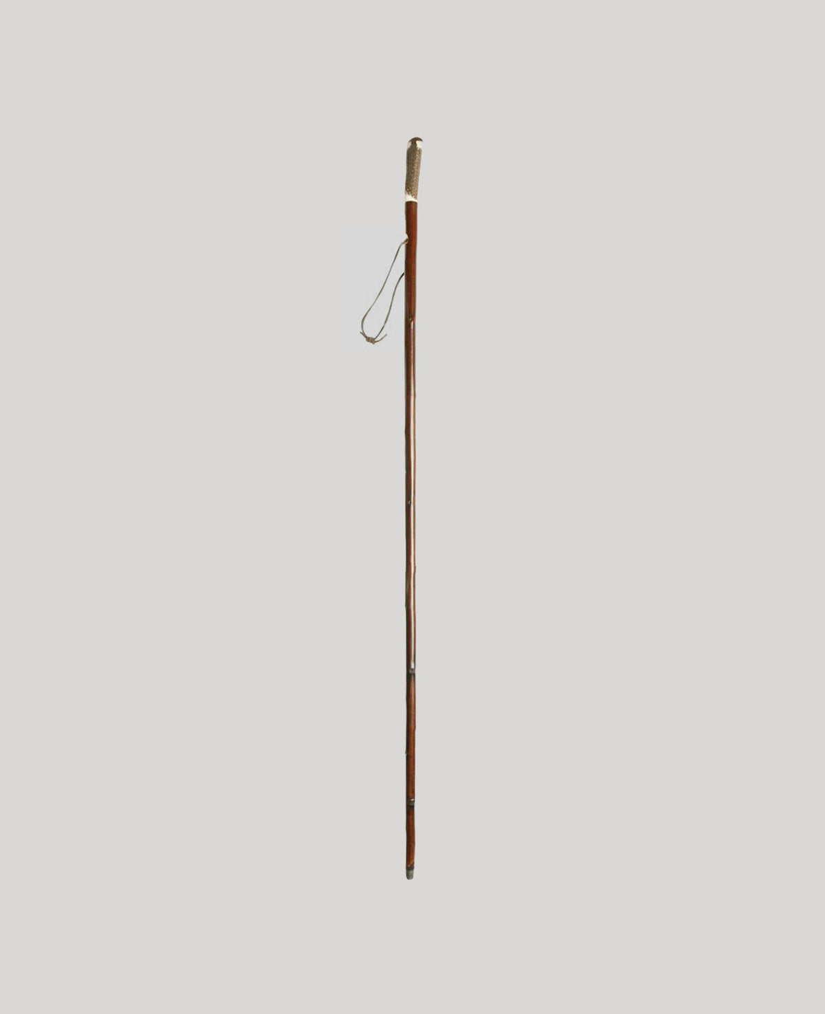 Hiking Stick Walnut