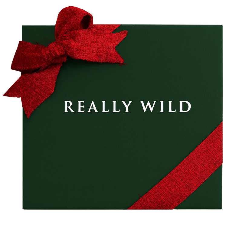 Gift Wrap